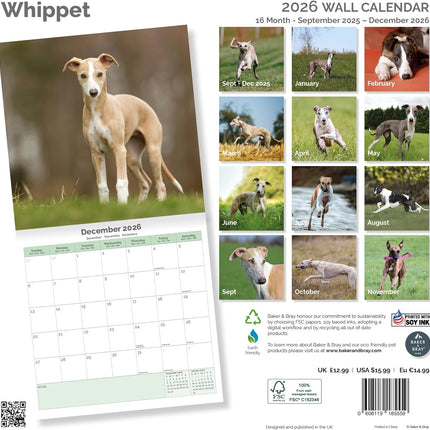 Baker & Bray Whippet Kalender 2026
