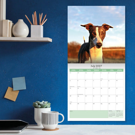 Baker & Bray Whippet Kalender 2026