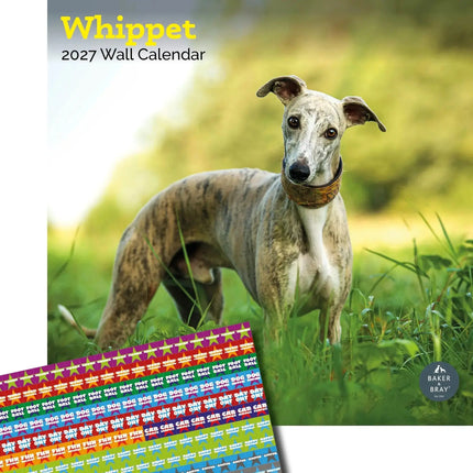 Baker & Bray Whippet Kalender 2027