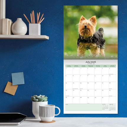 Baker & Bray Yorkshire Terrier Kalender 2026