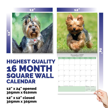 Baker & Bray Yorkshire Terrier Kalender 2026