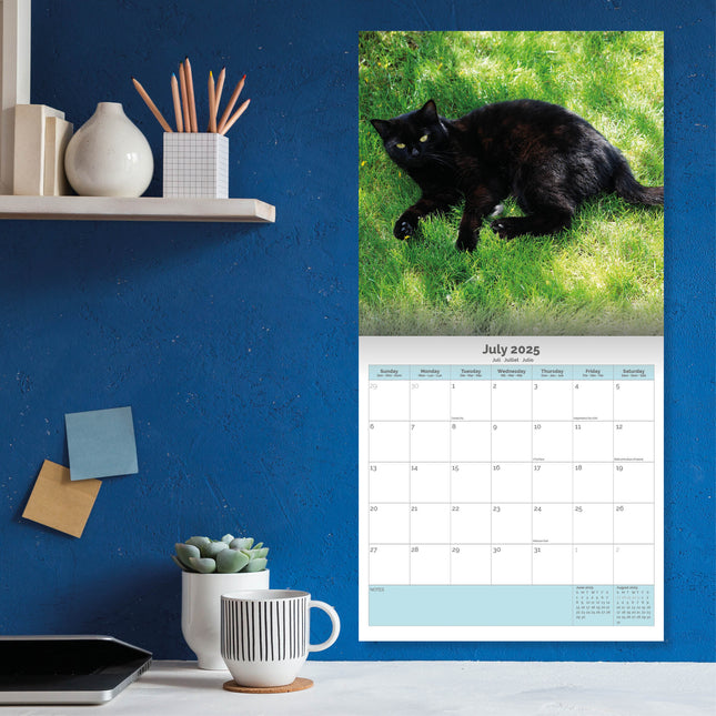 Baker & Bray Zwarte Katten Kalender 2025