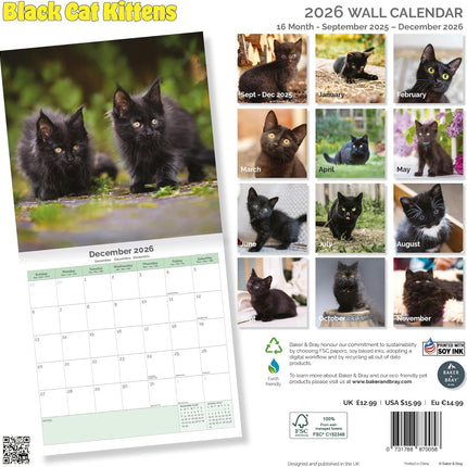 Baker & Bray Zwarte Kittens Kalender 2026