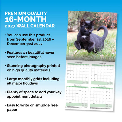Baker & Bray Zwarte Kittens Kalender 2026