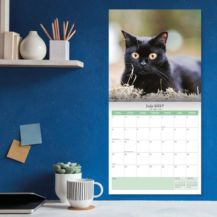 Baker & Bray Zwarte Kittens Kalender 2026