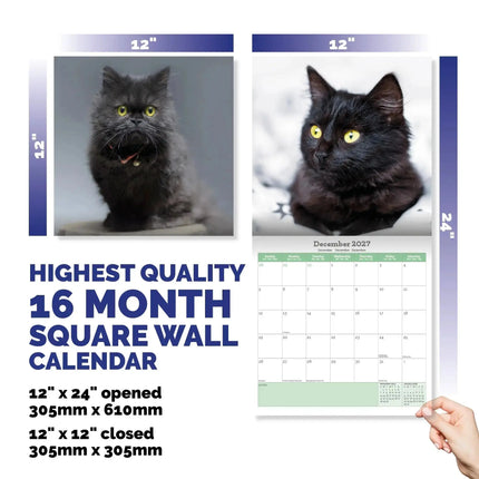 Baker & Bray Zwarte Kittens Kalender 2027