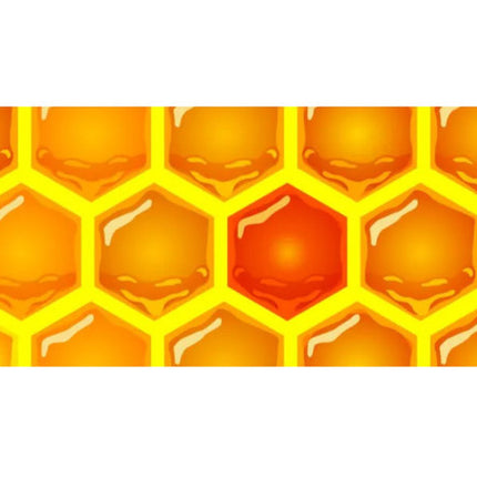 Bambola Honey World Polsband