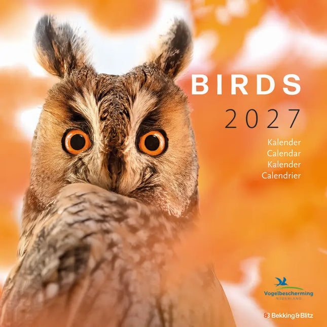 Edition Seidel Premium kalender vogels van ons huis 2026 formaat DIN A3 wandkalender vogelkalender Duitsland merel steenauz blauwe keel specht pimpelmees Christian Müringer Edition Seidel Premium kalender vogels van ons huis 2026 formaat DIN A3 wandkalender vogelkalender Duitsland merel steenauz blauwe keel specht pimpelmees Christian Müringer