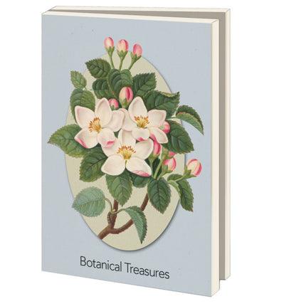 Bekking & Blitz Kaartenmapje Groot: Botanical Treasures, Chester Beatty