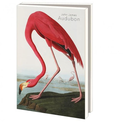 Bekking & Blitz Kaartenmapje Groot: John James Audubon, Teylers Museum