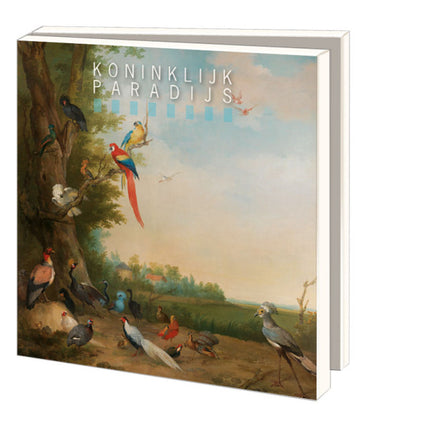 Bekking & Blitz Kaartenmapje met env, vierkant: Koninklijk Paradijs, Dordrechts Museum