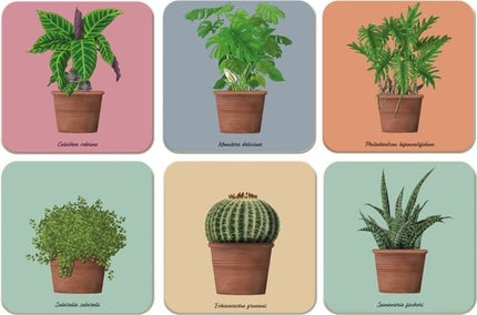 Bekking & Blitz Kamerplanten - Kelly van Koppenhagen - Hortus Botanicus Amsterdam Onderzetters 6 stuks