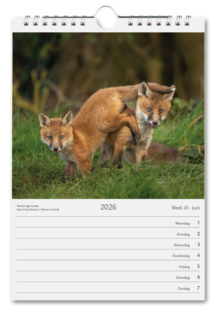 Bekking & Blitz Nederland Natuurland Weekkalender 2026