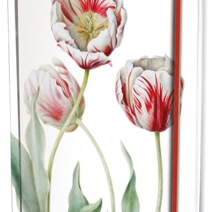 Bekking & Blitz Notitieboek A5: Tulipa 'Teyler', Anita Walsmit Sachs
