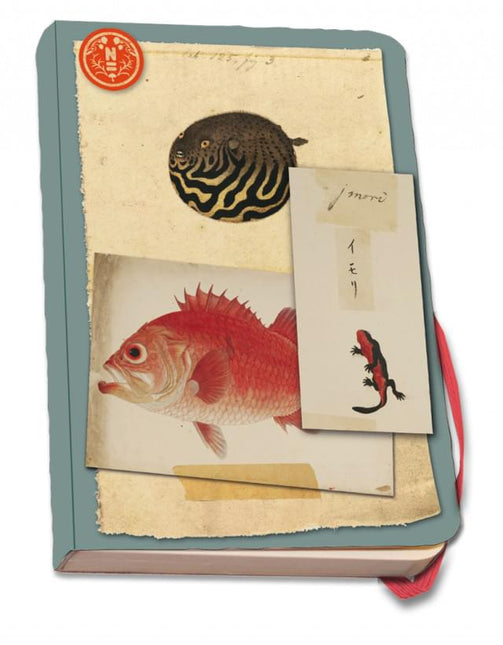 Bekking & Blitz Notitieboek A5, zachte kaft: Vissen, Naturalis Biodiversity Center