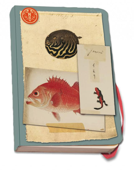 Bekking & Blitz Notitieboek A5, zachte kaft: Vissen, Naturalis Biodiversity Center