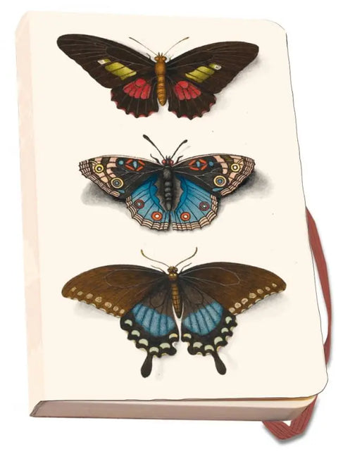 Bekking & Blitz Notitieboek A6, zachte kaft: Butterflies, Joseph Jakob von Plenck, The Fitzwilliam Museum