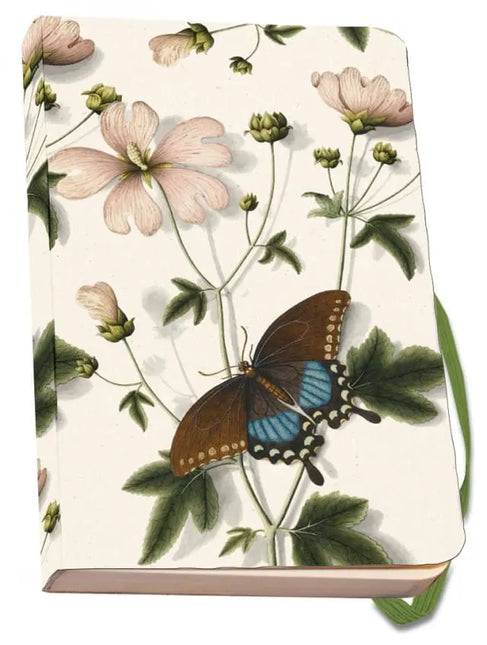 Bekking & Blitz Notitieboek A6, zachte kaft: Marsh-mallow and a Papilio troilus, Von Plenck, The Fitzwilliam Museum