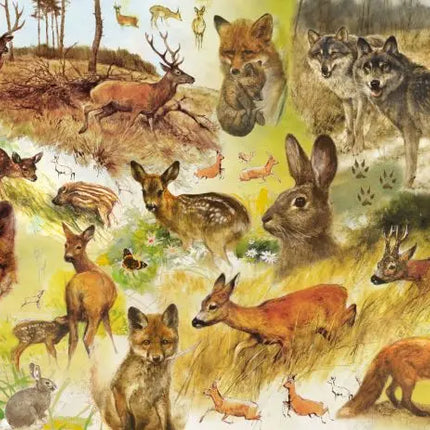 Bekking & Blitz Puzzel (1000 stukjes): Drawn to Nature, Rien Poortvliet