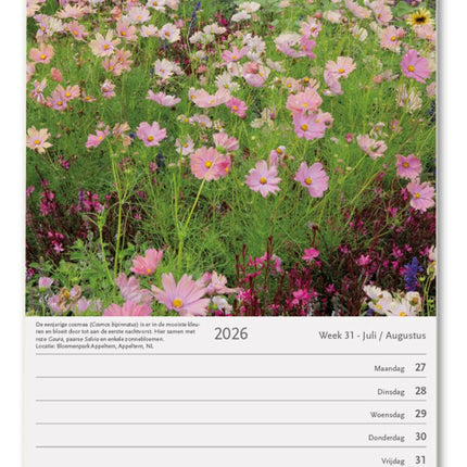 Bekking & Blitz Tuinen Weekkalender 2026