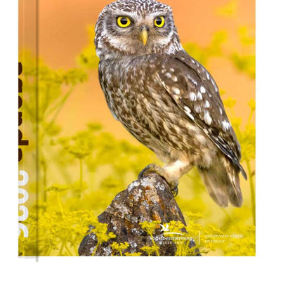 Bekking & Blitz Vogelbescherming Weekagenda 2026