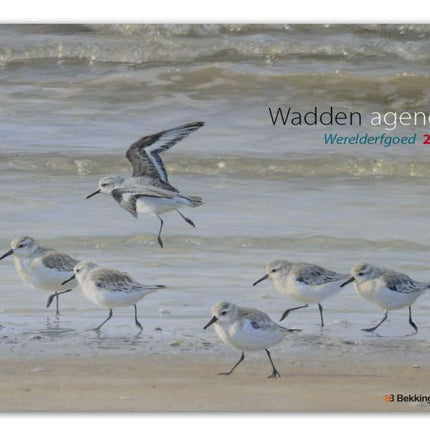 Bekking & Blitz Wadden Werelderfgoed Weekagenda 2026