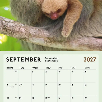 Blaustein Luiaard Kalender 2027