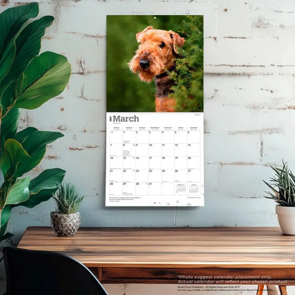 Browntrout Airedale Terrier Kalender 2027