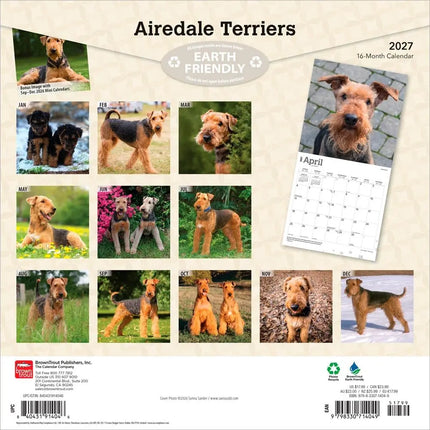 Browntrout Airedale Terrier Kalender 2027
