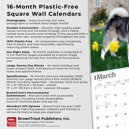 Browntrout Alaskan Malamute Kalender 2026