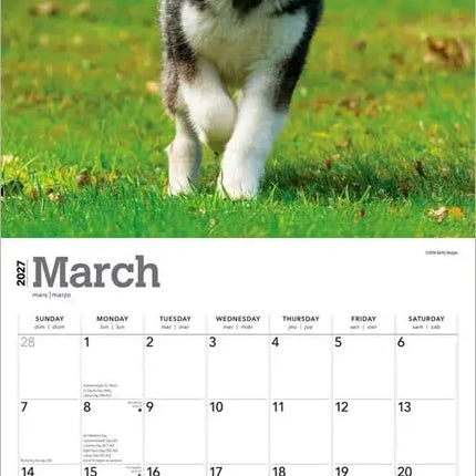Browntrout Alaskan Malamutes Kalender 2027