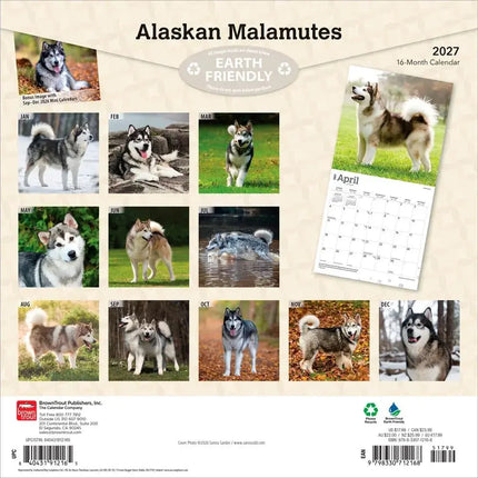 Browntrout Alaskan Malamutes Kalender 2027