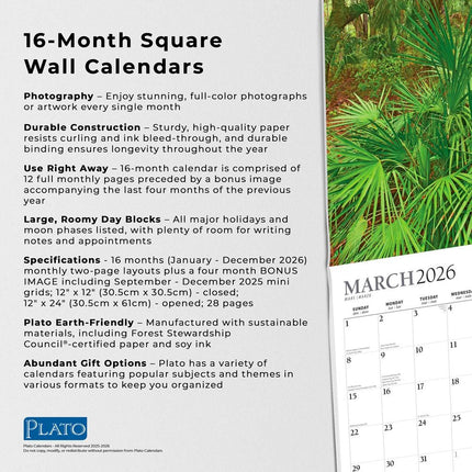 Browntrout America the Beautiful Kalender 2026