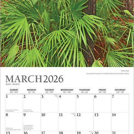 Browntrout America the Beautiful Kalender 2026