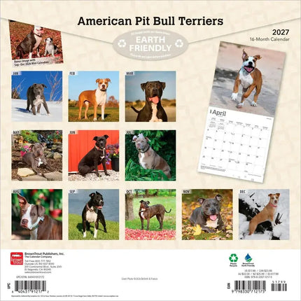 Browntrout American Pit Bull Terrier Kalender 2027