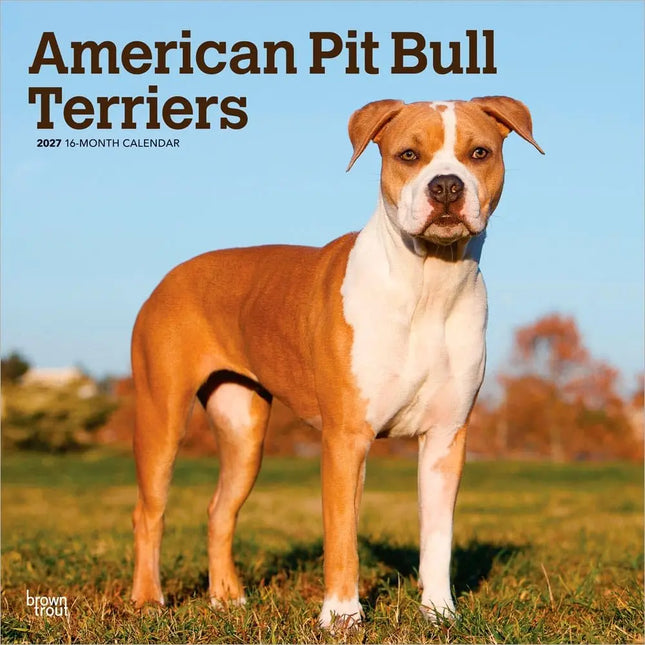 Browntrout American Pit Bull Terrier Kalender 2027