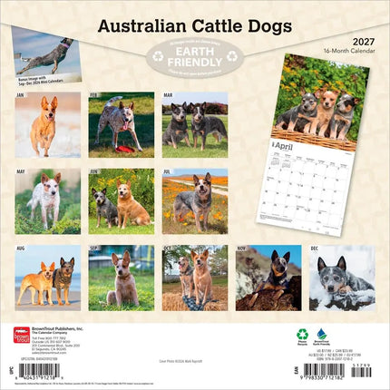Browntrout Australian Cattle Dog Kalender 2027