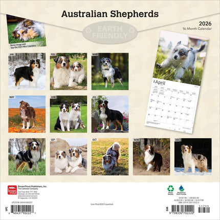 Browntrout Australian Shepherd Kalender 2026