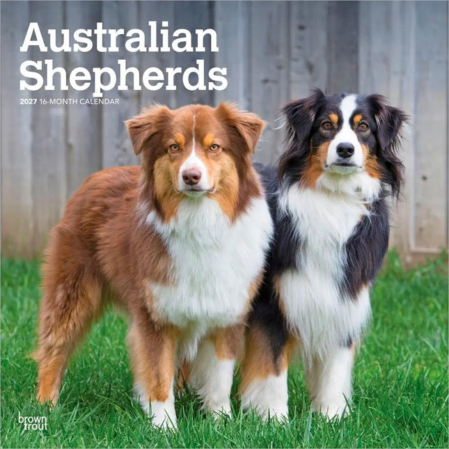 Browntrout Australian Shepherd Kalender 2027