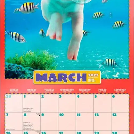 Browntrout Avanti Funny Farm Kalender 2027
