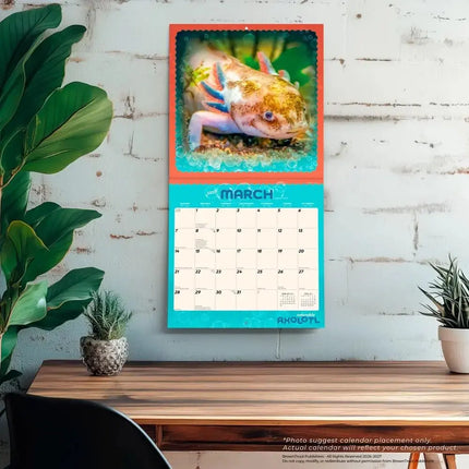 Browntrout Axolotl Kalender 2027