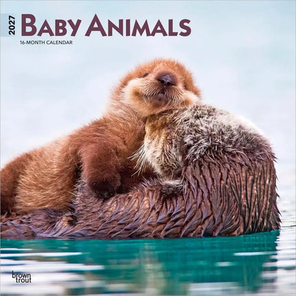 Browntrout Baby Animals Kalender 2027