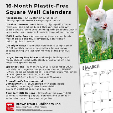 Browntrout Baby Geitjes Kalender 2026
