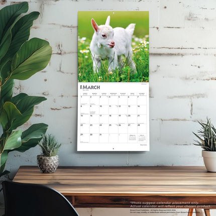 Browntrout Baby Geitjes Kalender 2026