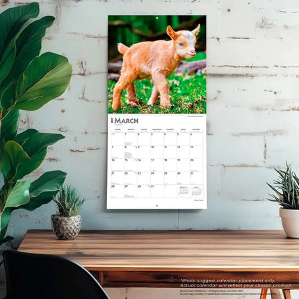 Browntrout Baby Geitjes Kalender 2027