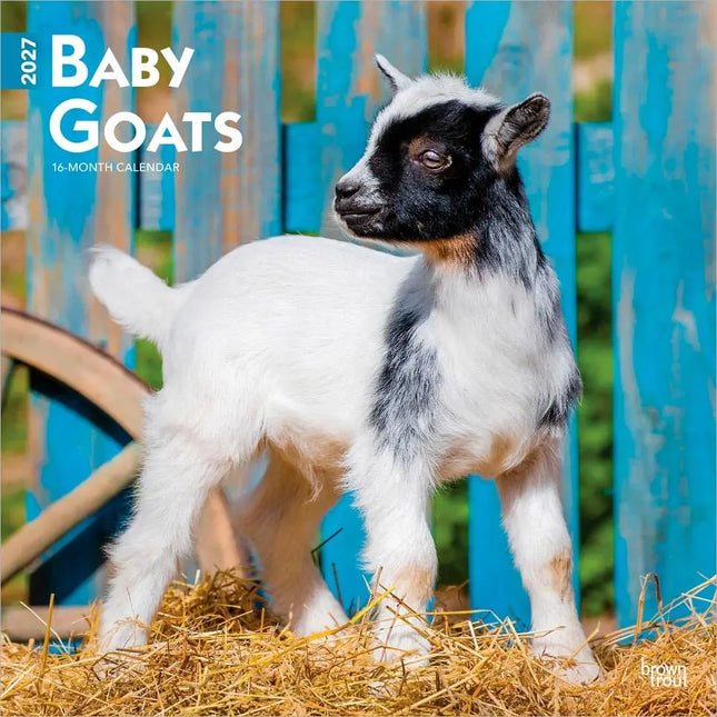 Browntrout Baby Geitjes Kalender 2027