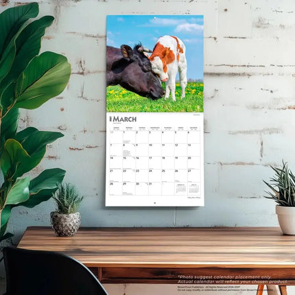 Browntrout Baby Moo Moos Kalender 2027