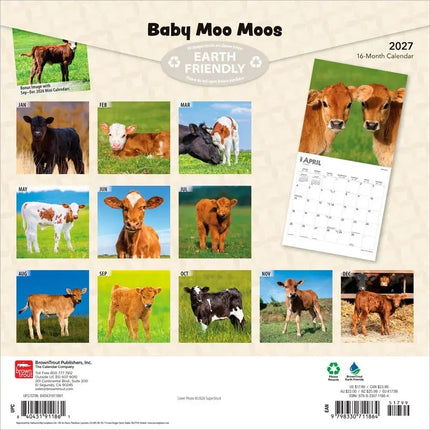 Browntrout Baby Moo Moos Kalender 2027