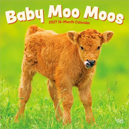 Browntrout Baby Moo Moos Kalender 2027