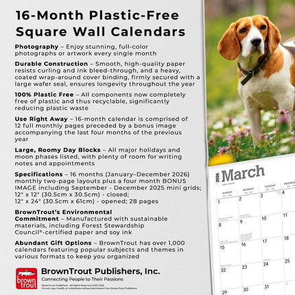 Browntrout Beagle Kalender 2026